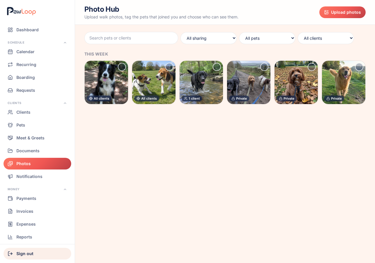 The Photo Hub page showing walk photos grouped by week