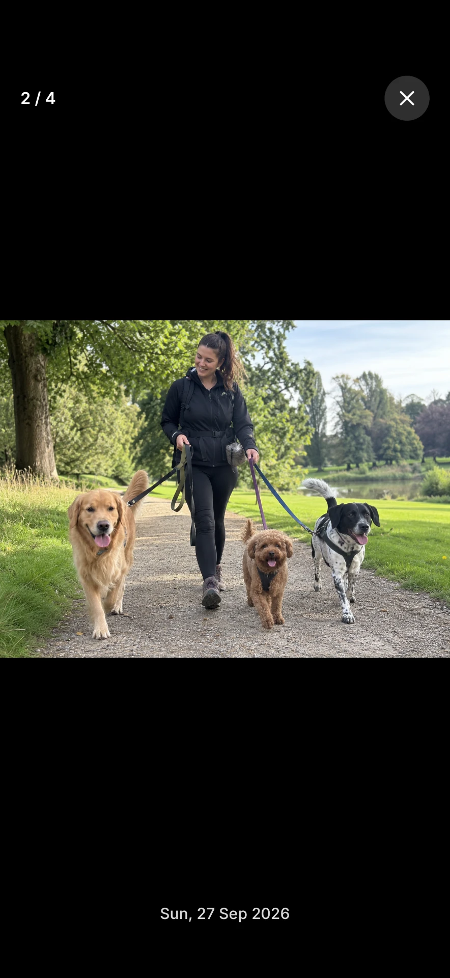 A walk photo opened full screen in PawLoop Clients with the date it was taken.