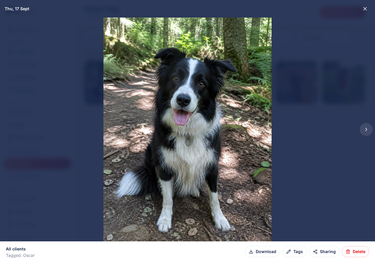 A photo open full size showing the date, tagged pet and sharing