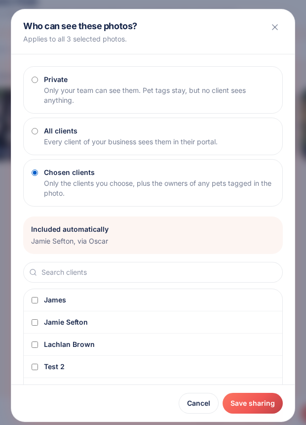 The sharing panel with chosen clients selected and an owner included automatically