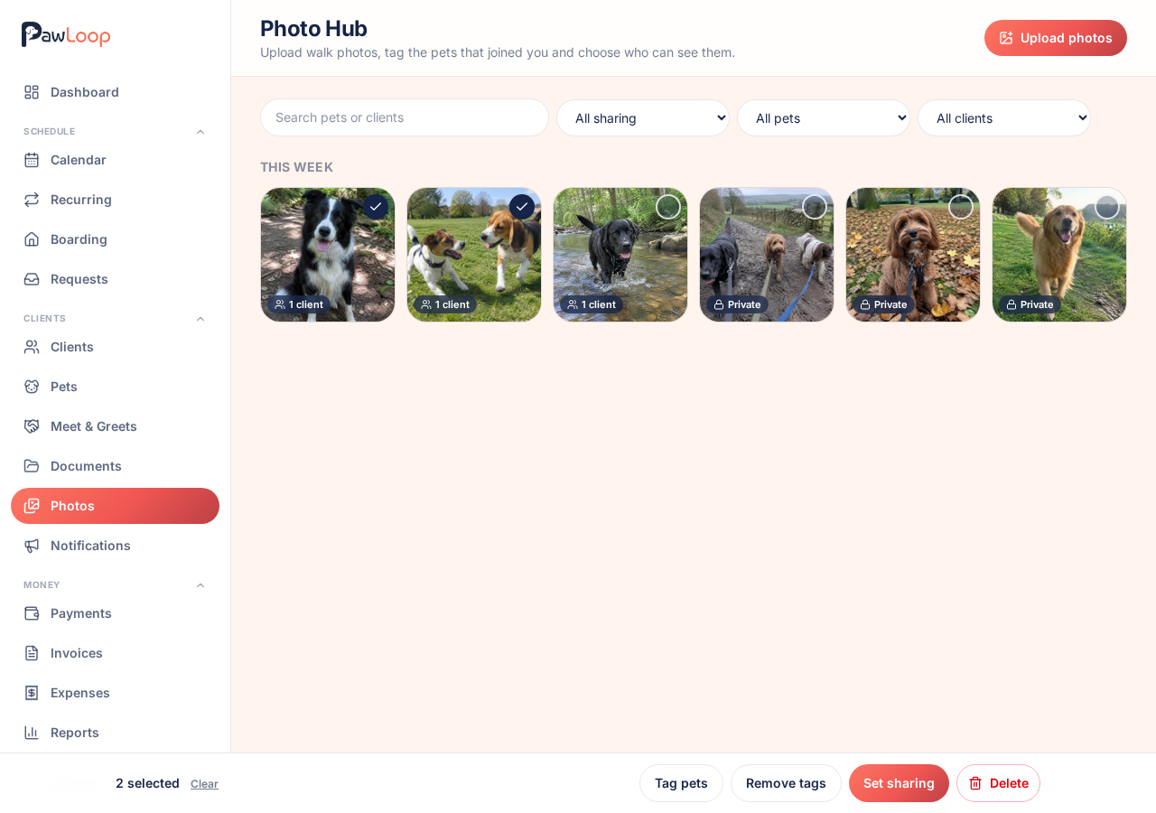 Several photos selected with the batch actions bar showing